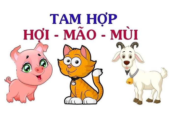 Hợi, Mão, Mùi là nhóm tam hợp thiên về ngoại giao