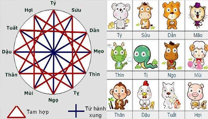 Tứ hành xung là nhóm các con giáp xung khắc với nhau