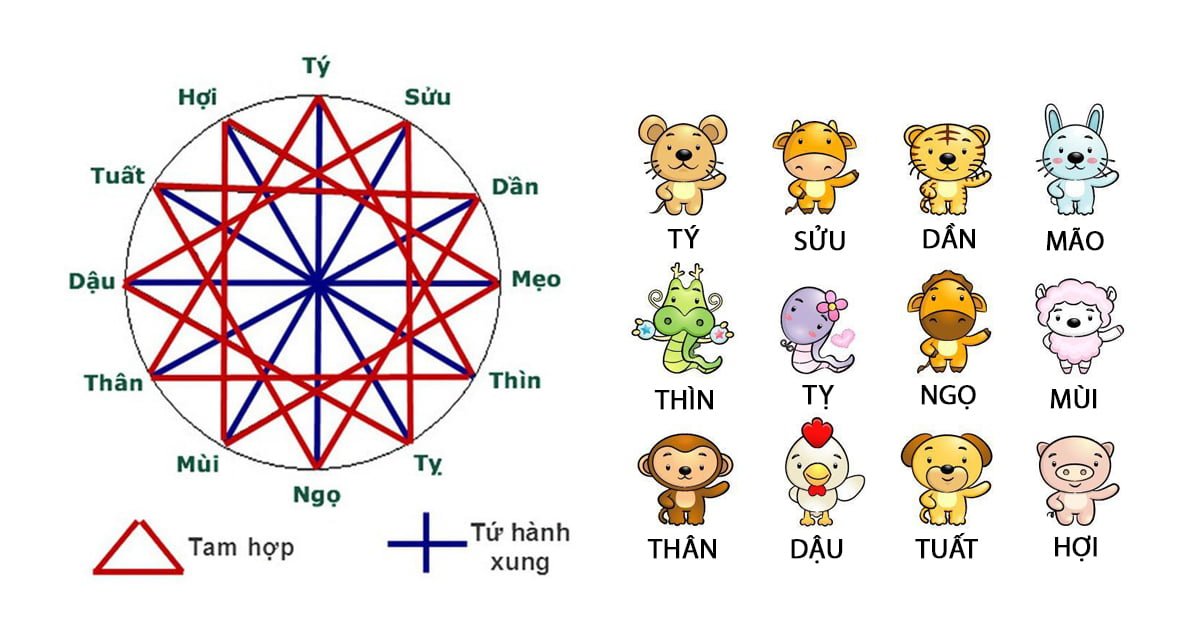 Tam hợp là gì? Tứ hành xung là gì? Hiểu sao cho chính xác nhất