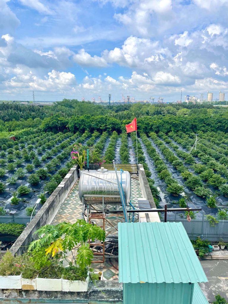 Nhà có mặt phía sau rất thoáng